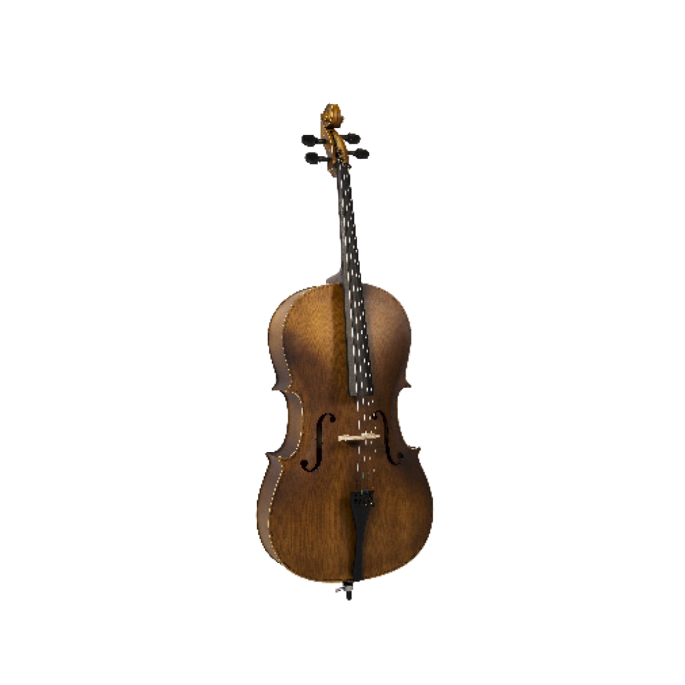 Leia mais sobre o artigo VIOLONCELOS VOGGA