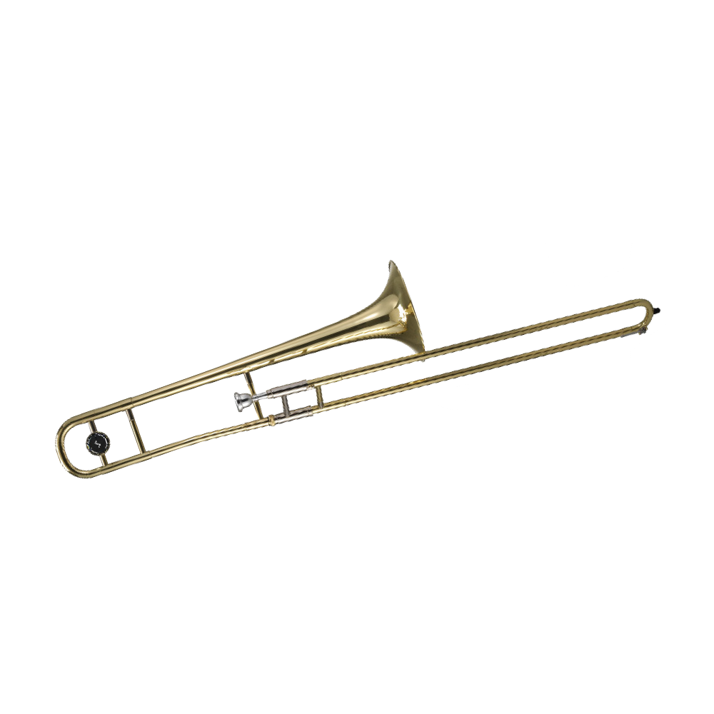 Leia mais sobre o artigo TROMBONE DE VARA VOGGA
