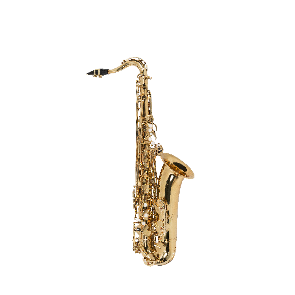 Leia mais sobre o artigo SAXOFONE TENOR VOGGA